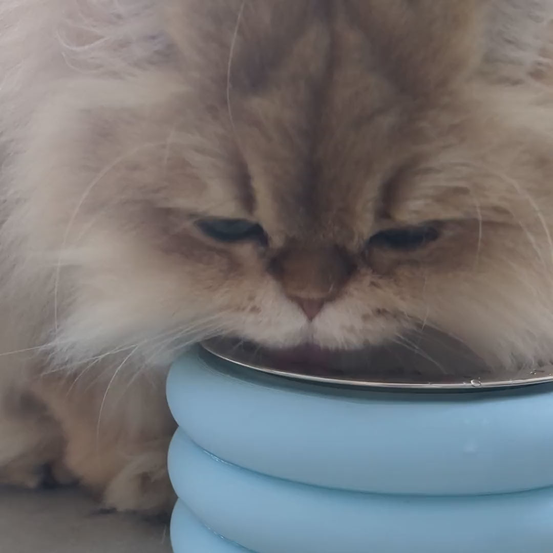 Gamelle design pour chat et chien – Donut, insert inox